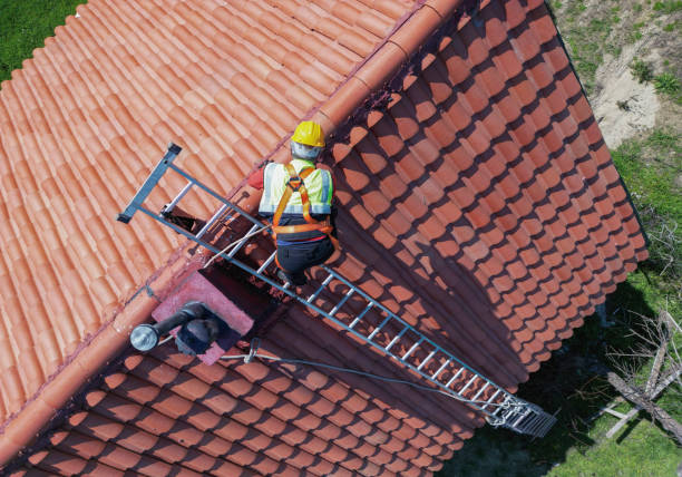 Best Solar Panel Roofing Installation  in Mcgraw, NY
