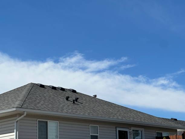 Best Steel Roofing  in Mcgraw, NY